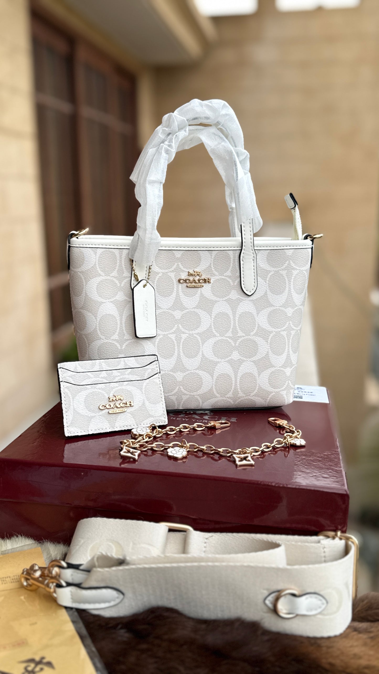 Coach City Mini Tote Bag-With Wallet & Charm Chain-Box Included-Master Plus Series.