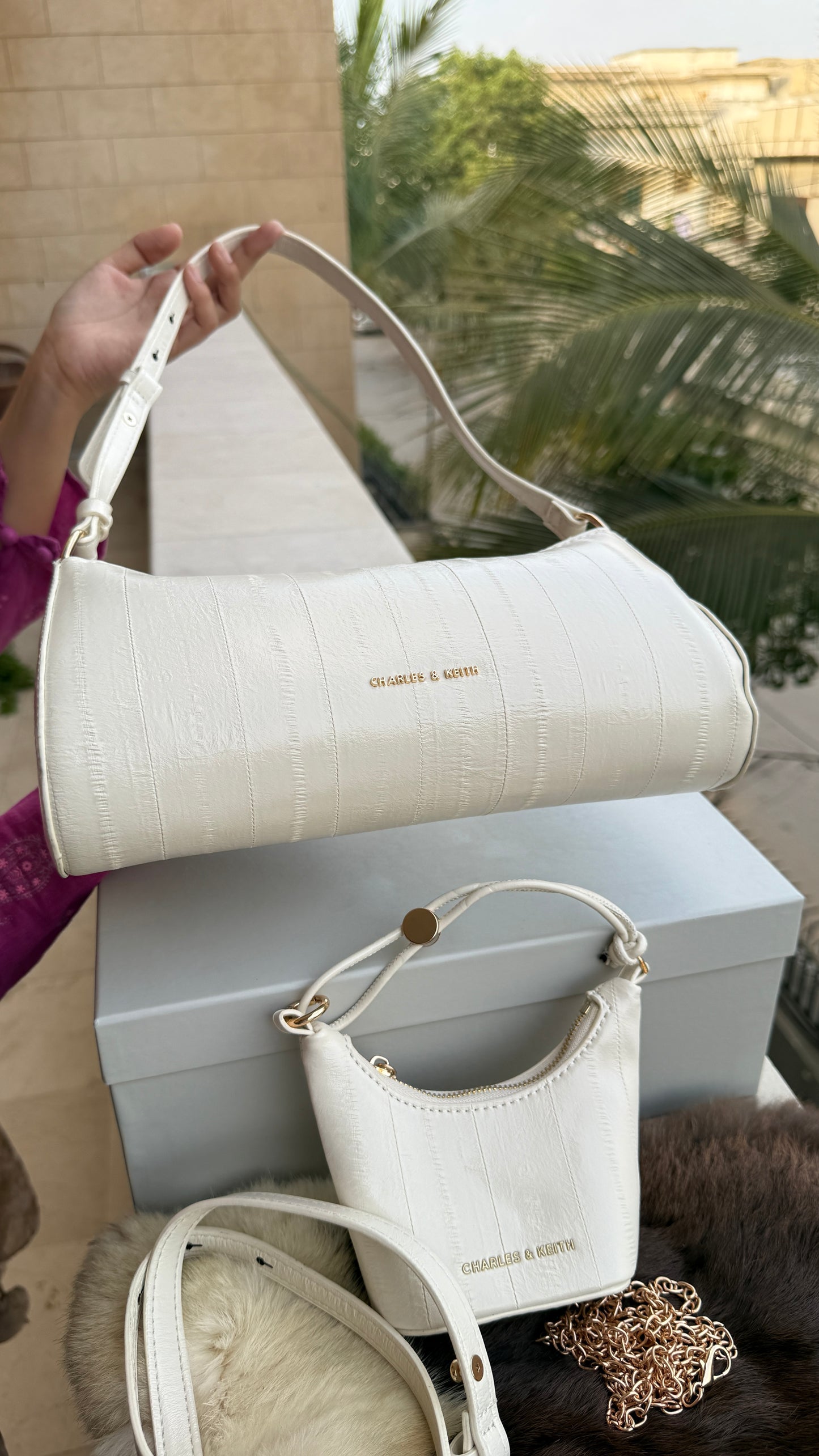 Charles & Keith Shoulder With Micro Bag-With box-Master Series.