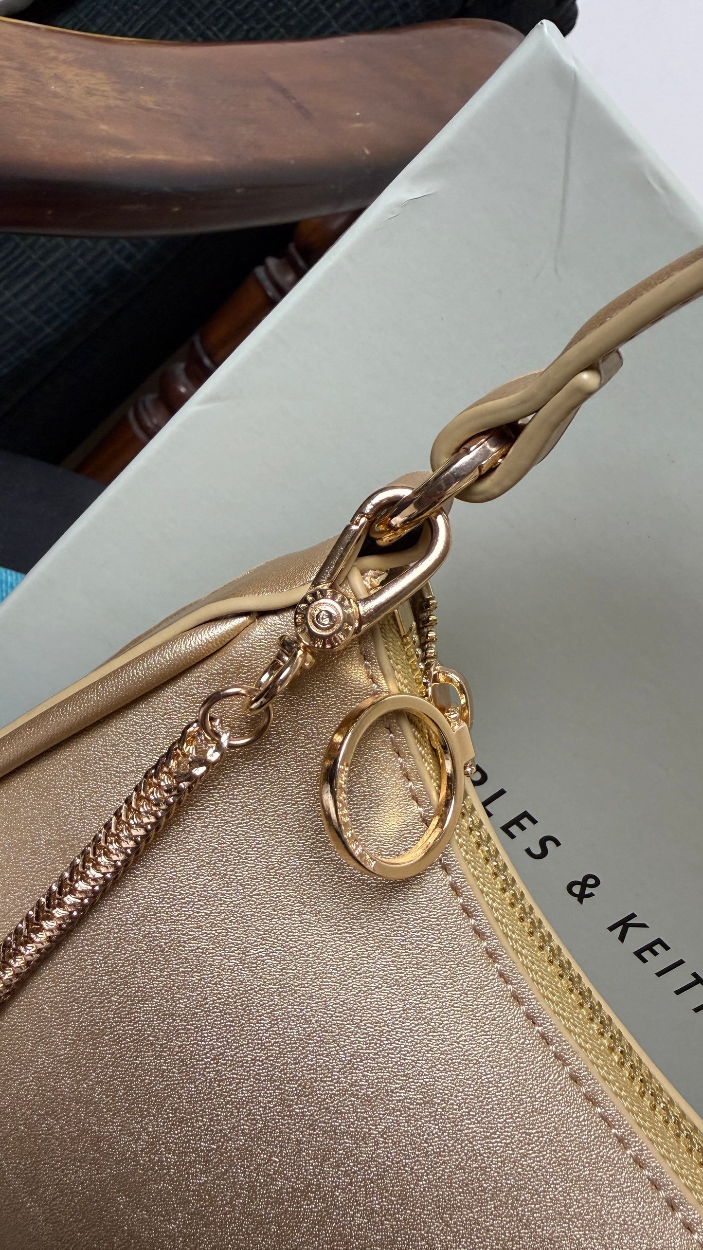Charles & Keith Elspeth  Chain-Link Shoulder Bag.
