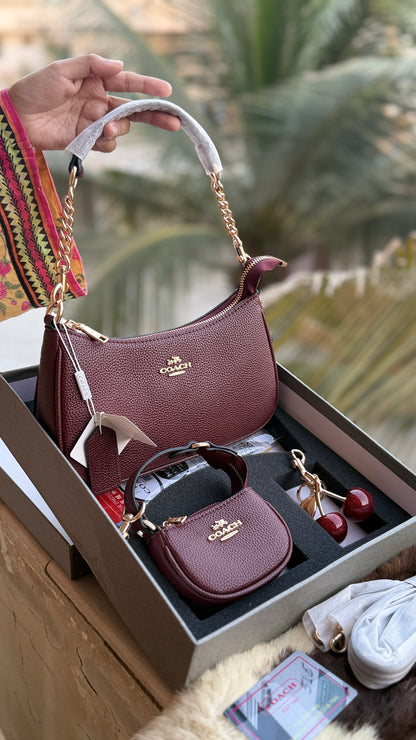 Coach Teri Hobo Complete Set With Box,Micro Bag & Cherry Charm-Master Plus