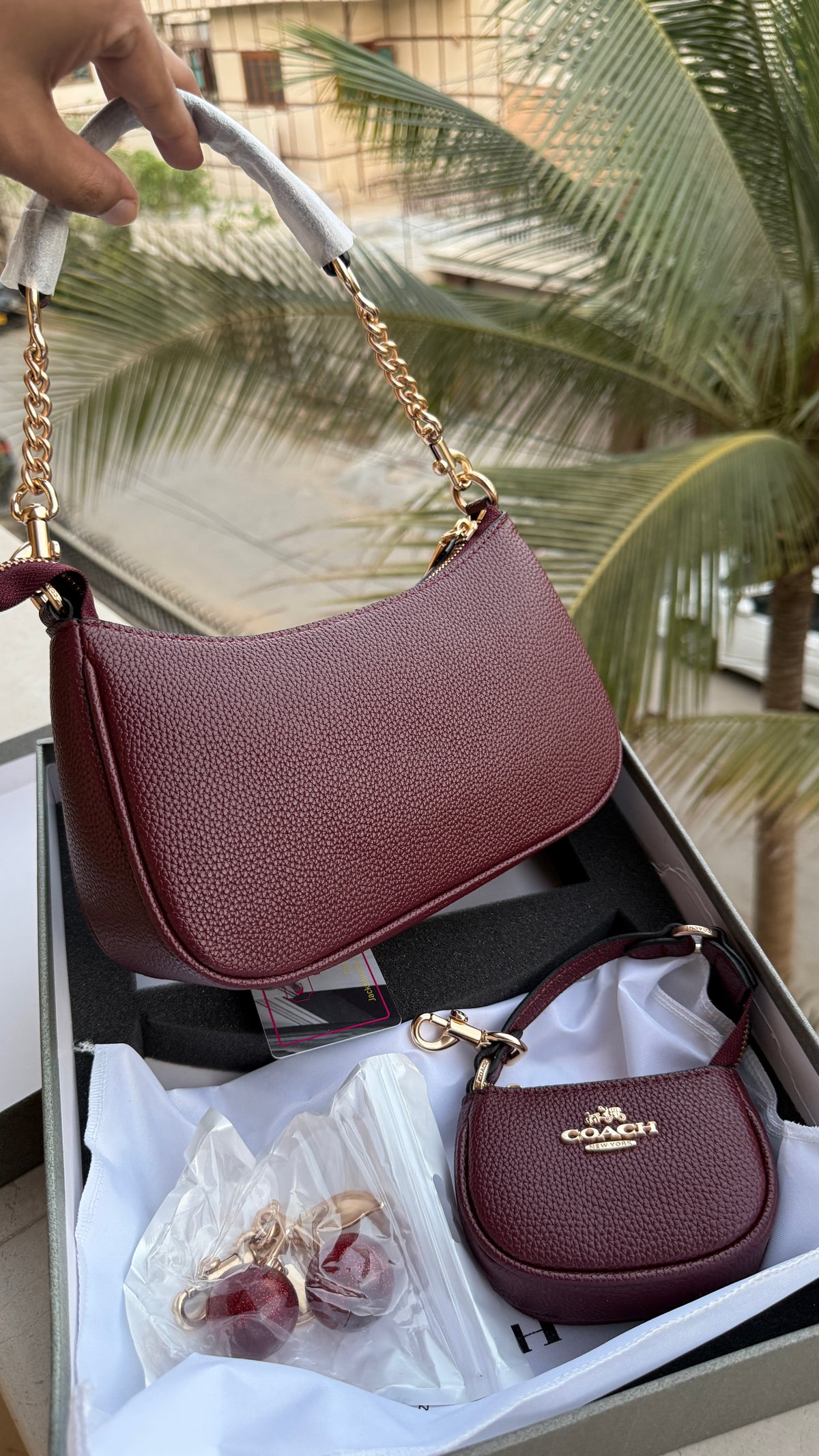 Coach Teri Hobo Complete Set With Box,Micro Bag & Cherry Charm-Master Plus