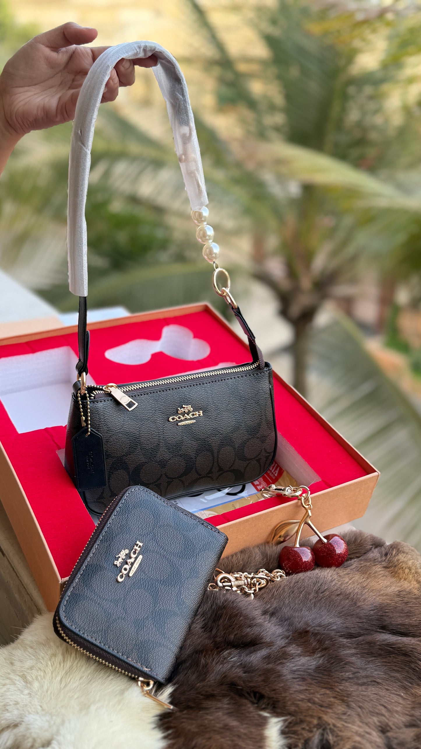 Coach Nolita 19 All inclusive Box Set-Master Series
