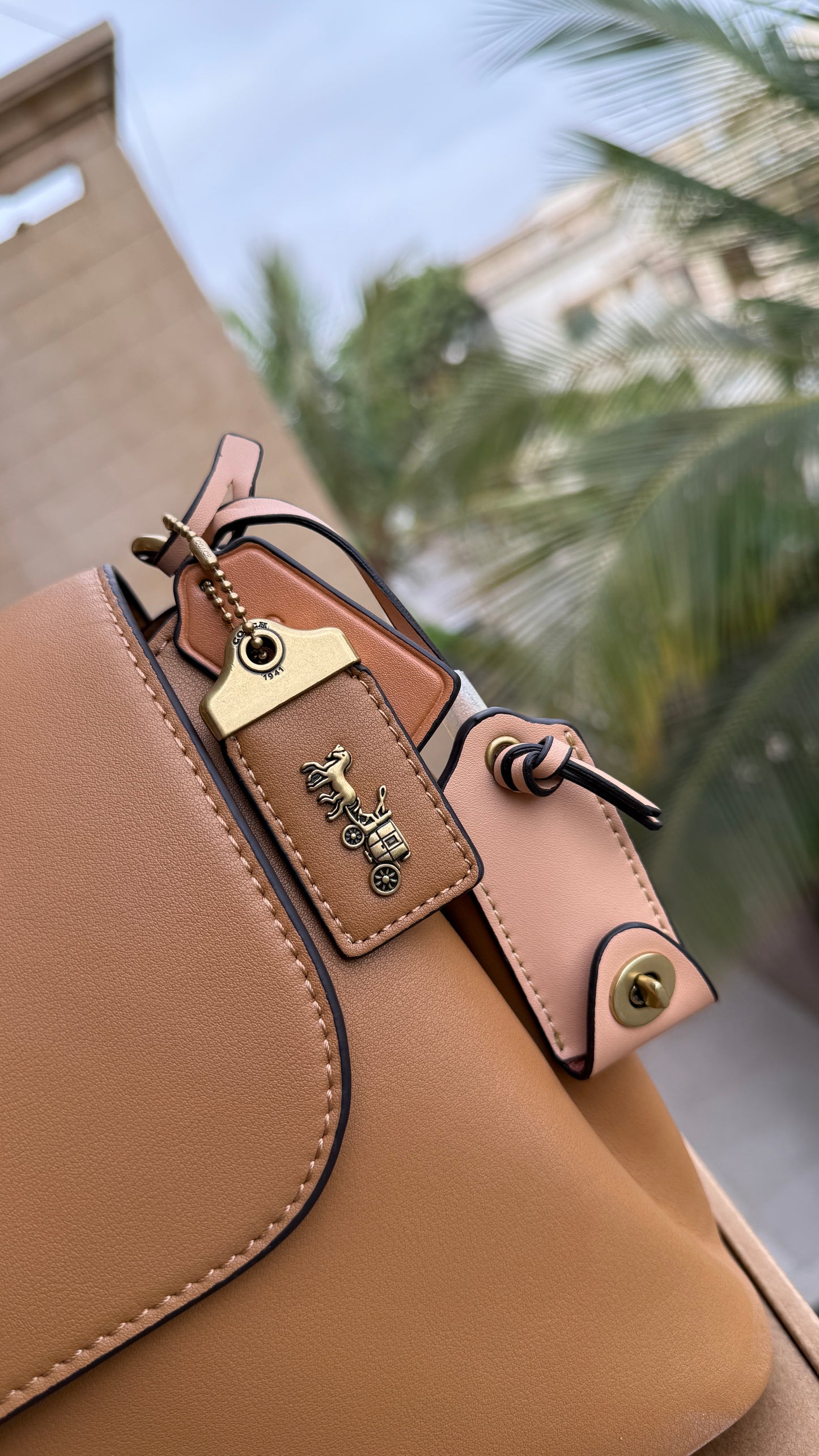 Coach Slouchy Rogue Top Handle bag-Master Plus Series.