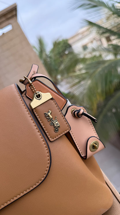 Coach Slouchy Rogue Top Handle bag-Master Plus Series.