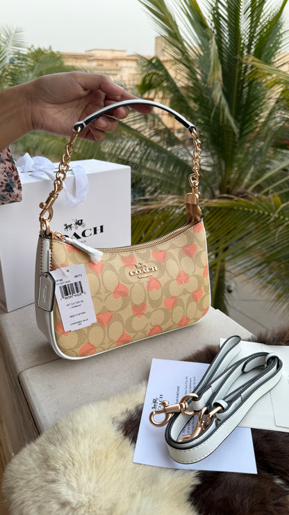 Coach Teri Hobo-Master Plus Series-folding box packaging.
