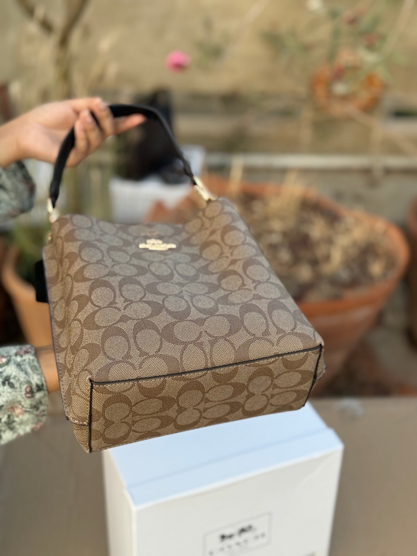 Coach Mollie 22 Bucket Bag Master Plus Series With box