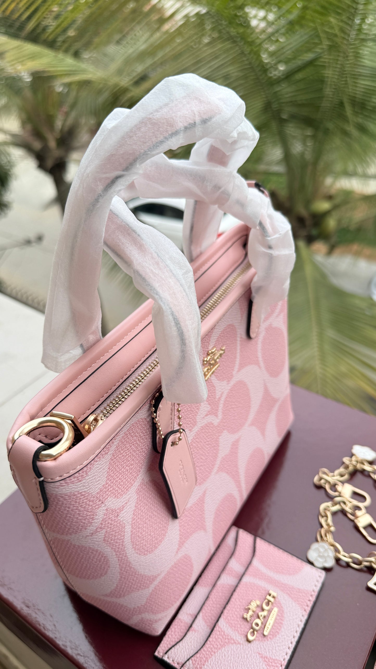 Coach City Mini Tote Bag-With Wallet & Charm Chain-Box Included-Master Plus Series.