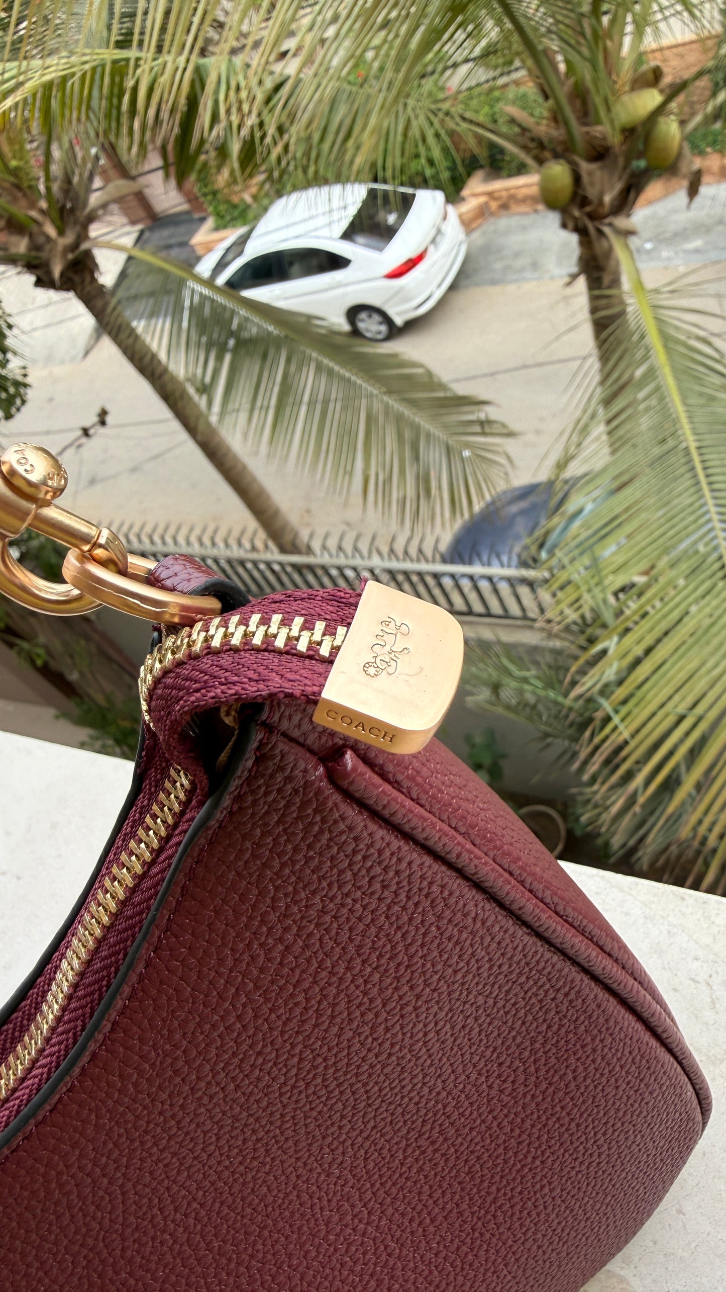 Coach Teri Hobo Large-With Box Master Series