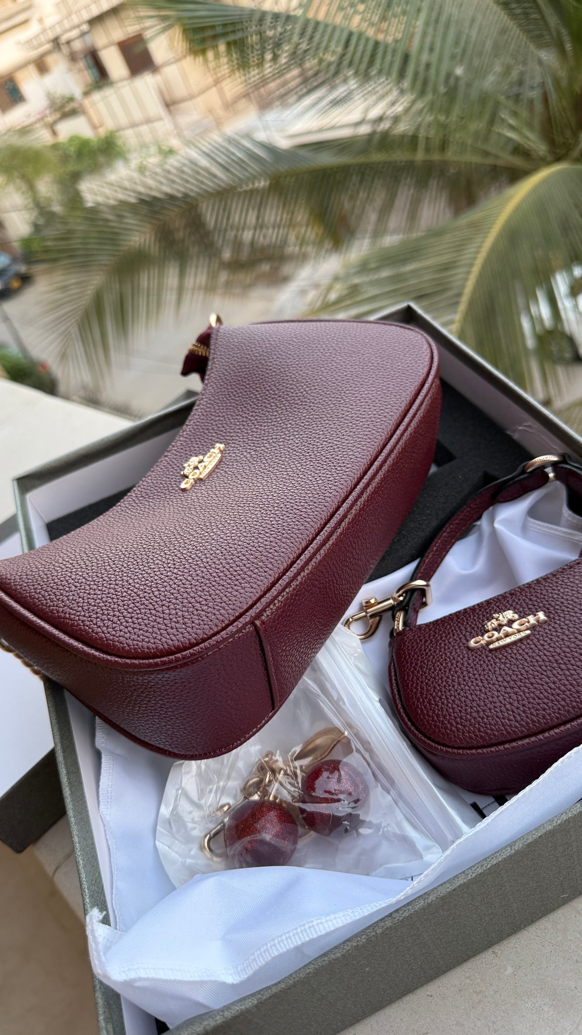 Coach Teri Hobo Complete Set With Box,Micro Bag & Cherry Charm-Master Plus