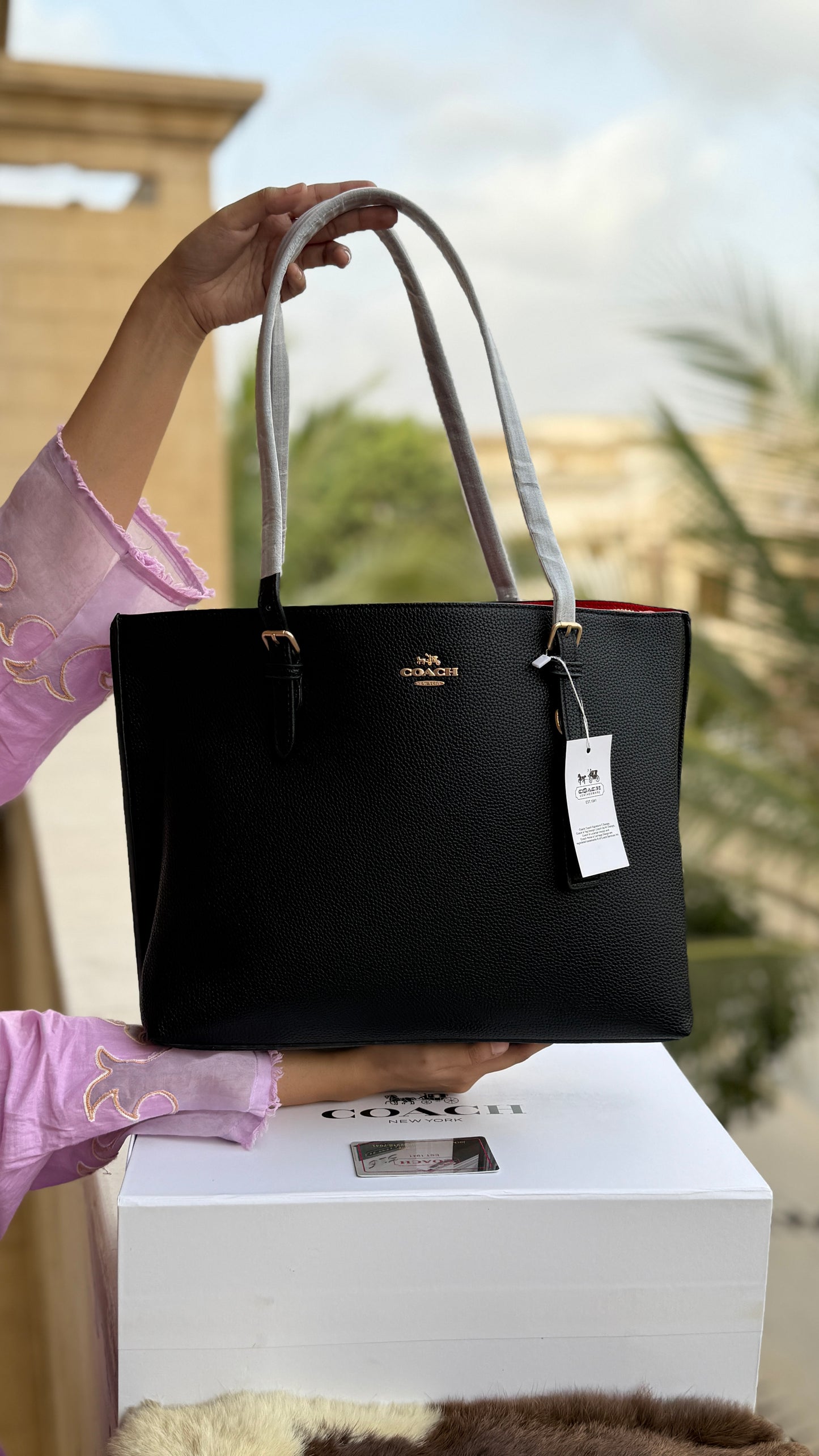 Coach Mollie Tote Large-With Box-Master Series