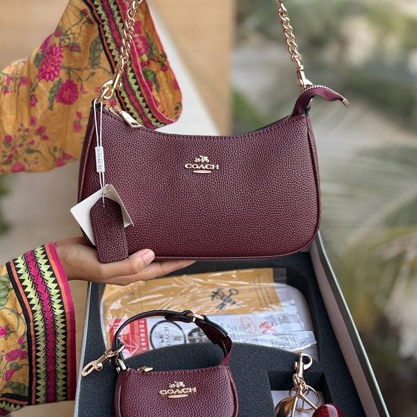 Coach Teri Hobo Complete Set With Box,Micro Bag & Cherry Charm-Master Plus