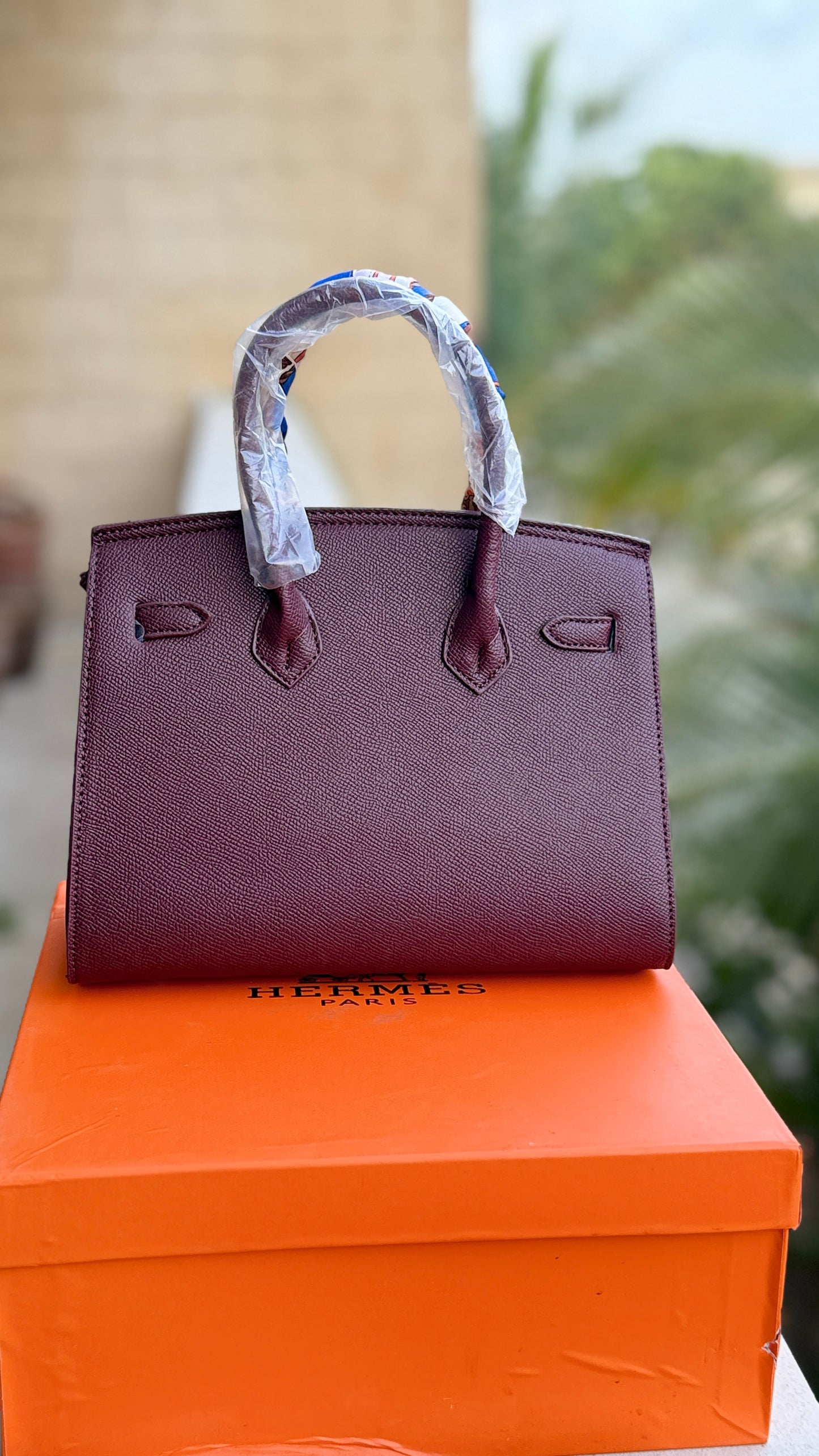Hermes Birkin With Box Master Series.