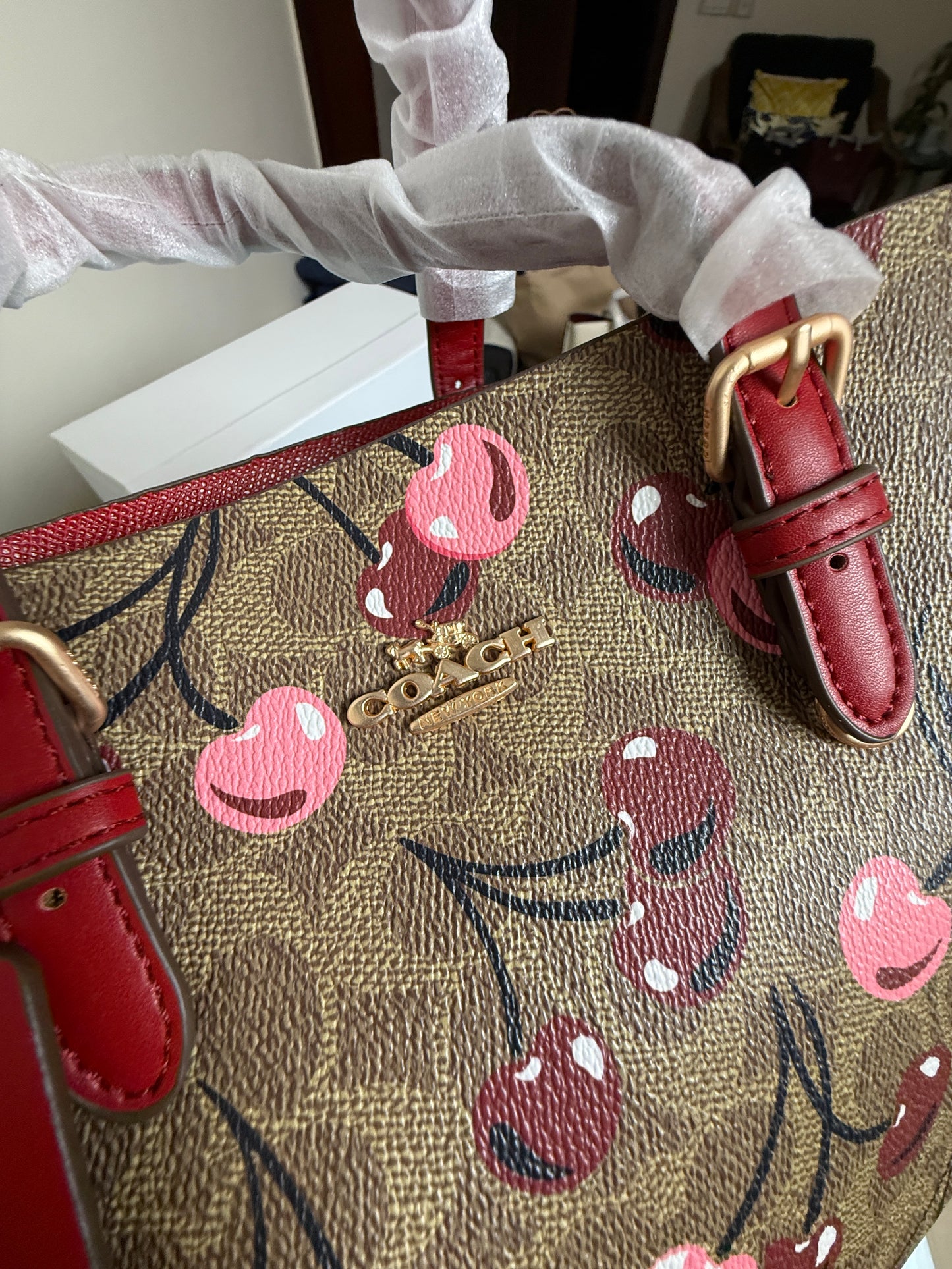 Coach Mollie 25 Tote Bag-Master Series With Box Packaging.