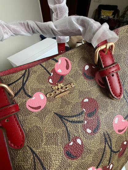 Coach Mollie 25 Tote Bag-Master Series With Box Packaging.