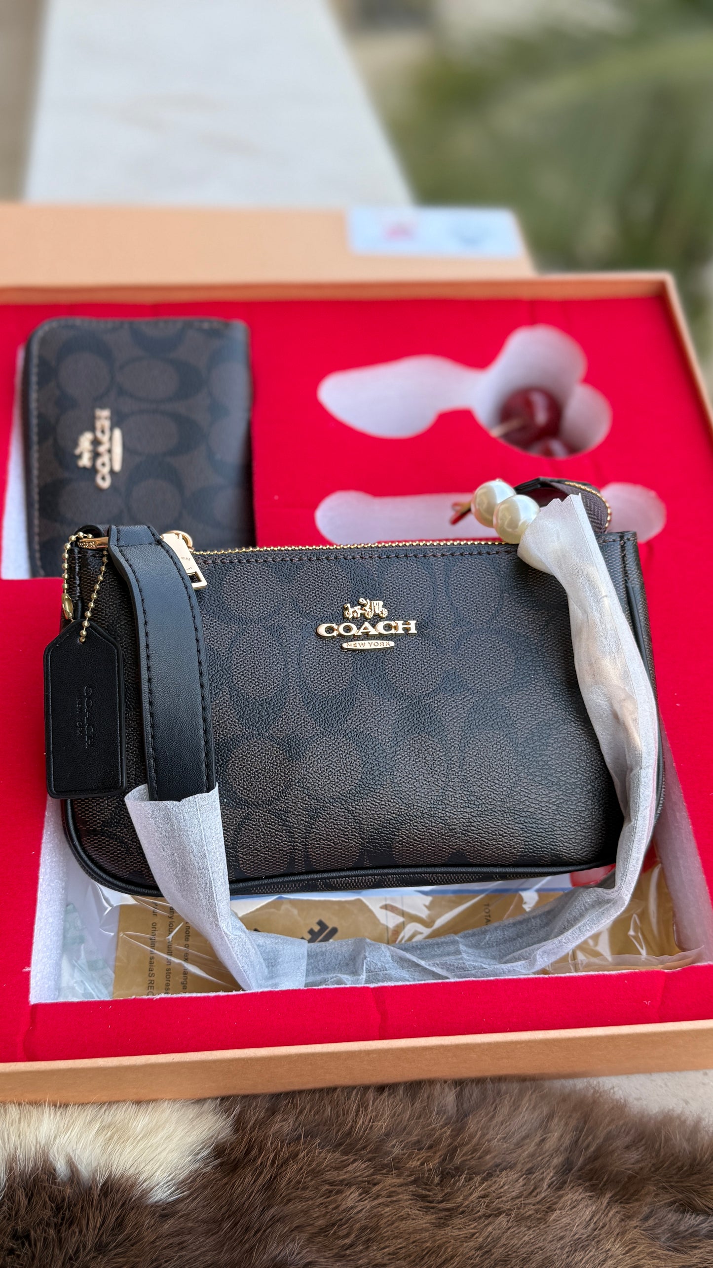 Coach Nolita 19 All inclusive Box Set-Master Series