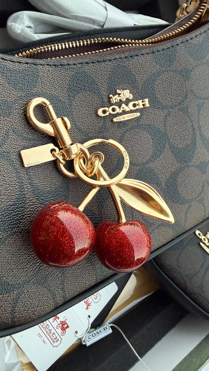 Coach Teri Hobo Complete Set With Box,Micro Bag & Cherry Charm-Master Plus