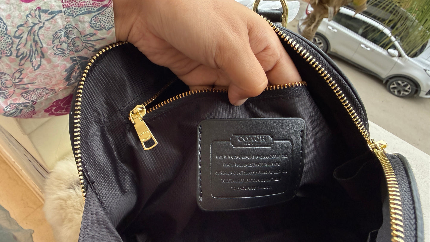 Coach Mini Sierra Satchel-With box Master Series