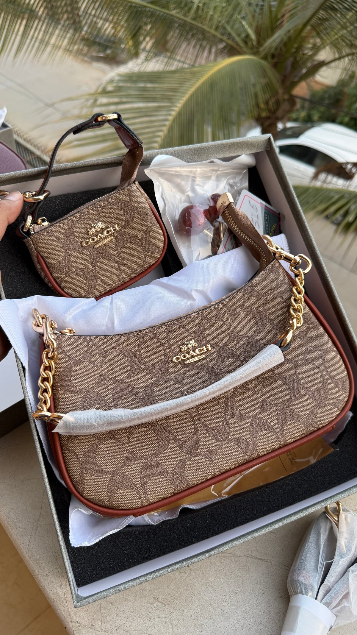 Coach Teri Hobo Complete Set With Box,Micro Bag & Cherry Charm-Master Plus