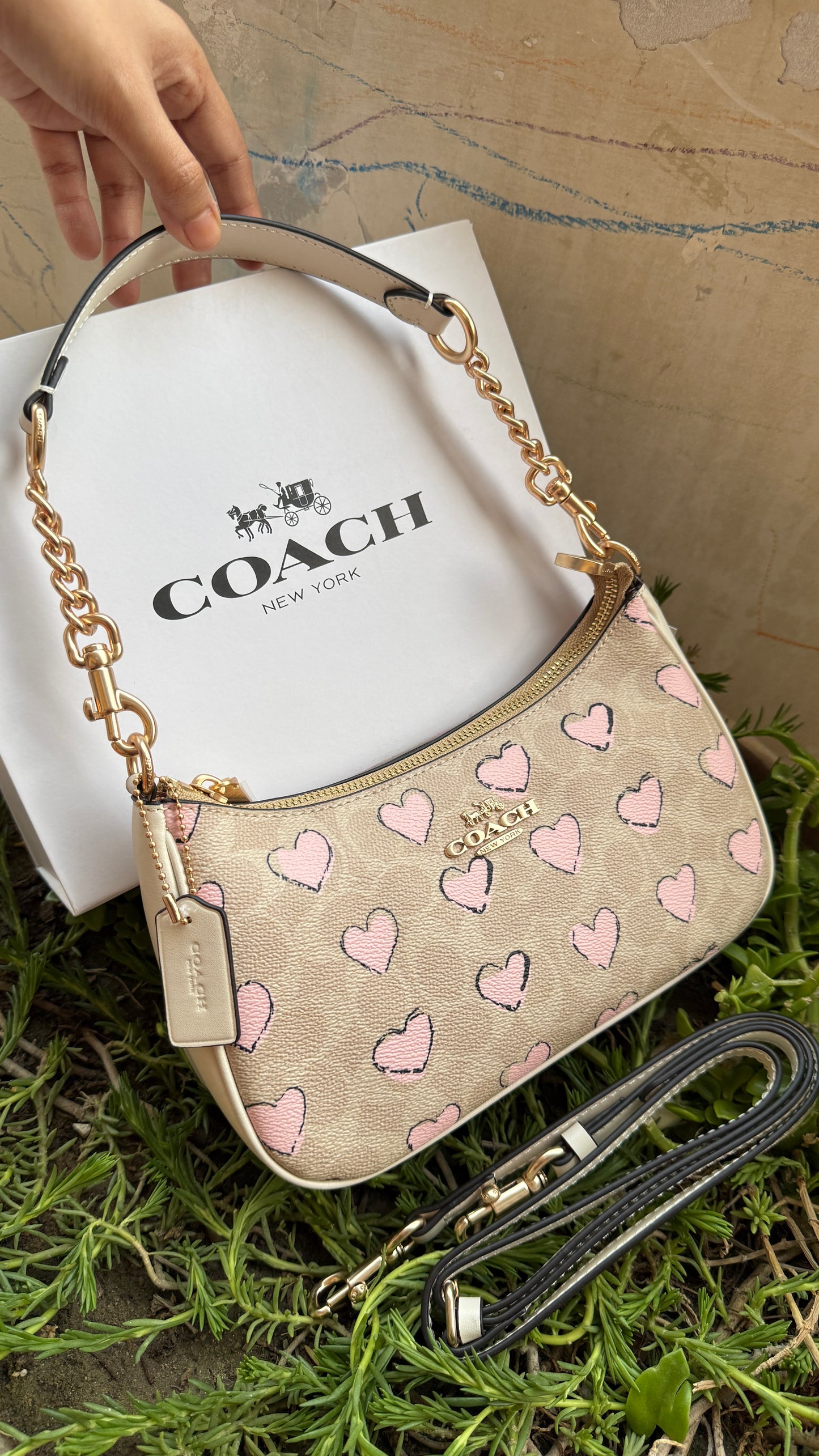 Coach Teri Hobo-Master Plus Series-folding box packaging.