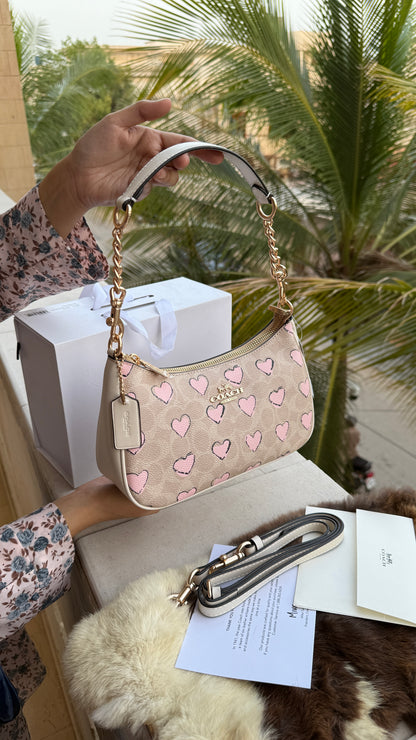 Coach Teri Hobo-Master Plus Series-folding box packaging.
