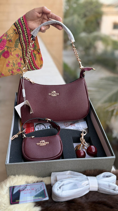 Coach Teri Hobo Complete Set With Box,Micro Bag & Cherry Charm-Master Plus