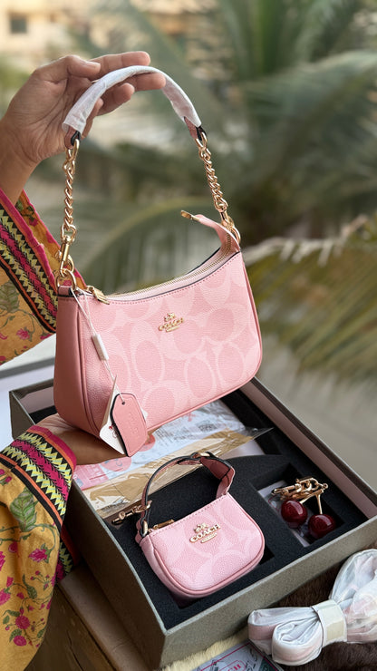 Coach Teri Hobo Complete Set With Box,Micro Bag & Cherry Charm-Master Plus