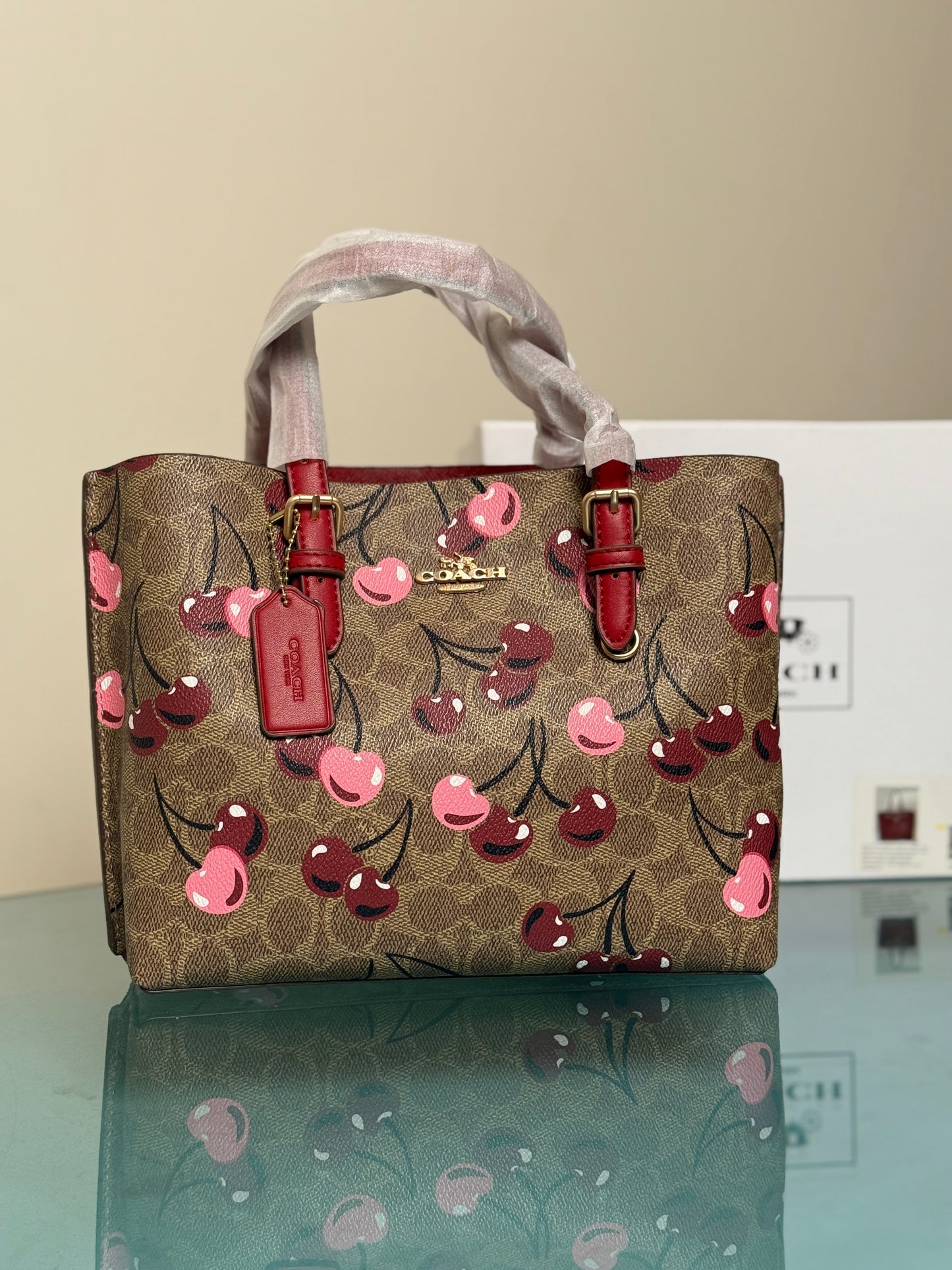 Coach Mollie 25 Tote Bag-Master Series With Box Packaging.