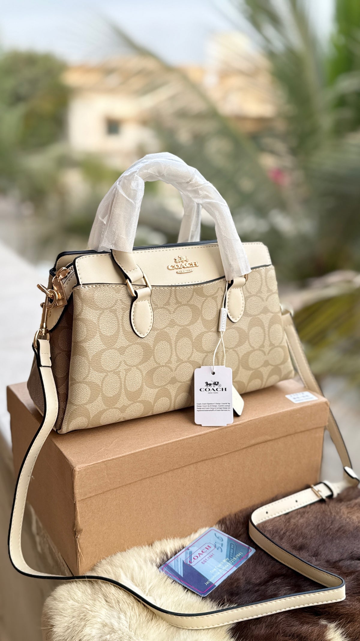 Coach Darcie Caryall mini-Box Packaging-Master Series