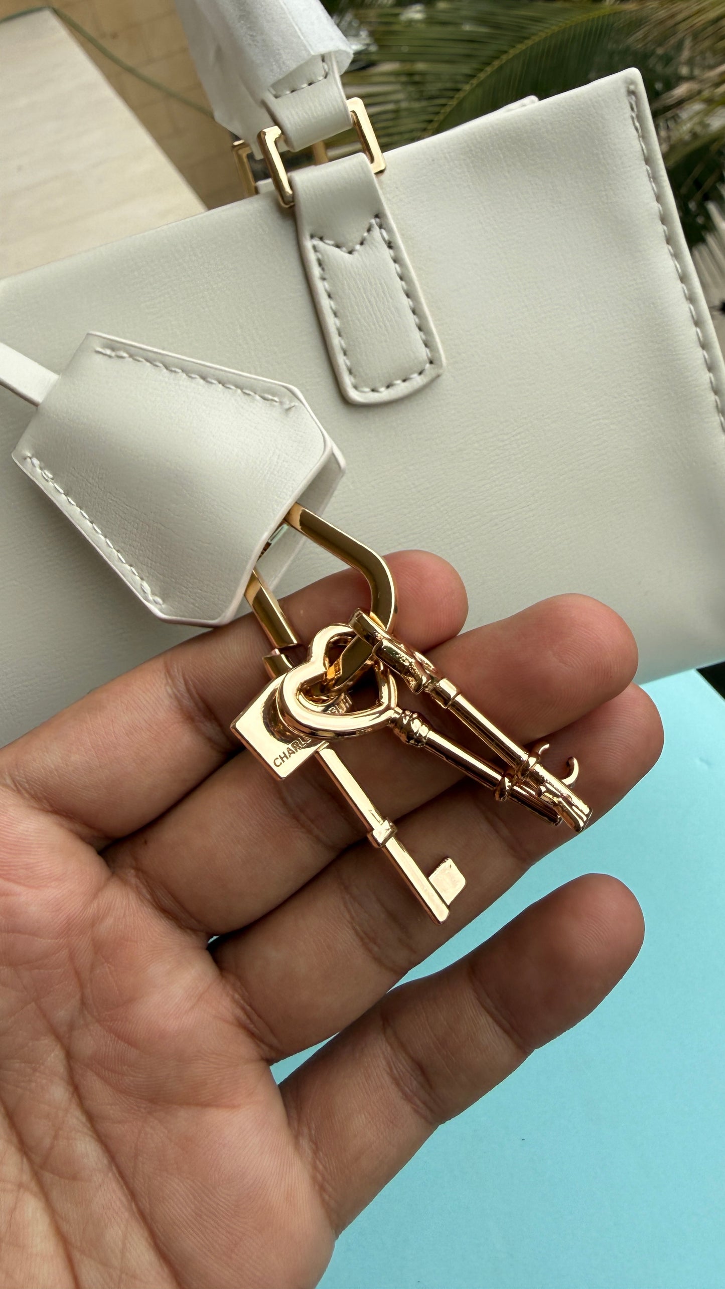 Charles & Keith Mini Kerry Top Handle Bag-Master Plus Series-With Box