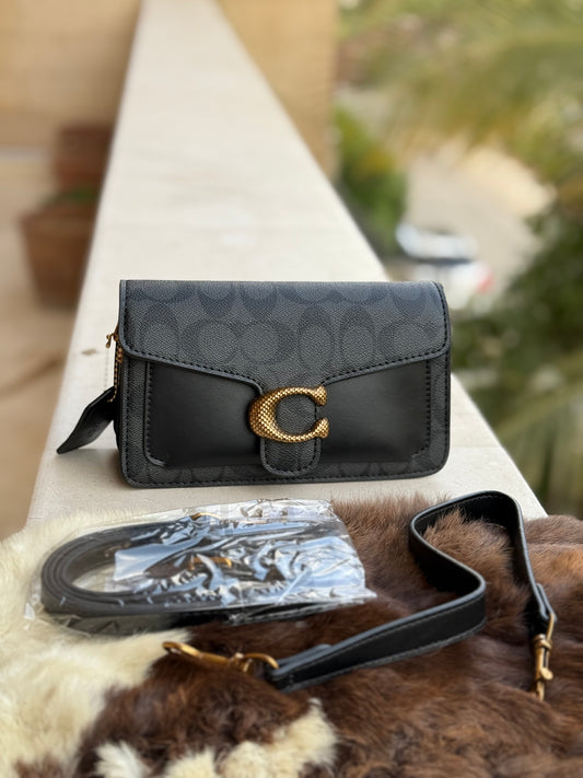 Coach Tabby Mini ( Basic Budget series )