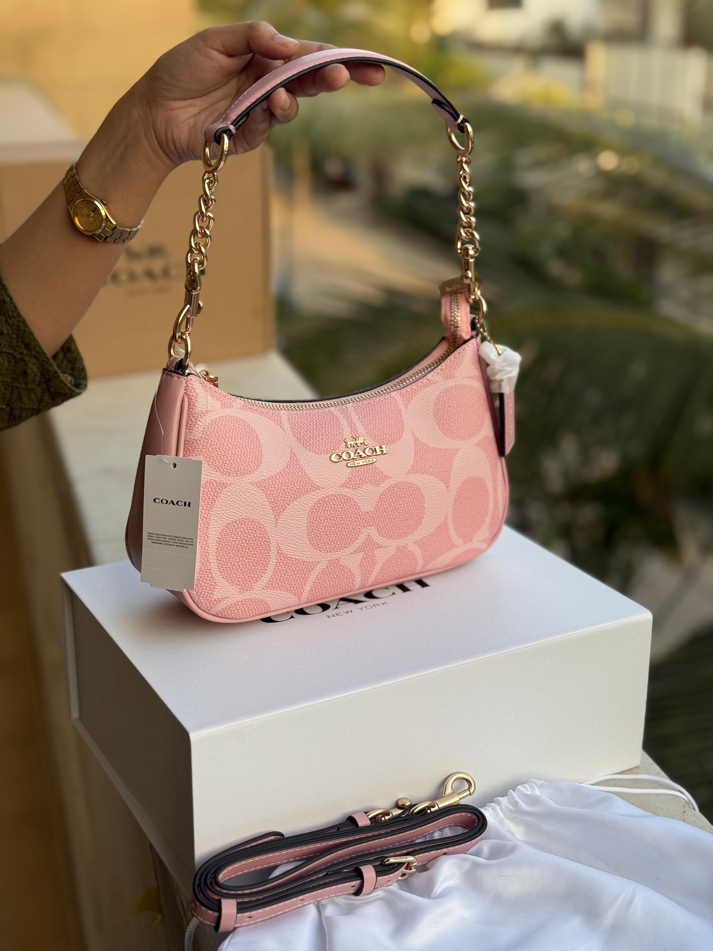 Coach Teri Hobo-Master Plus Series-Double folding box packaging