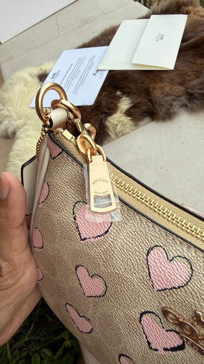 Coach Teri Hobo-Master Plus Series-folding box packaging.
