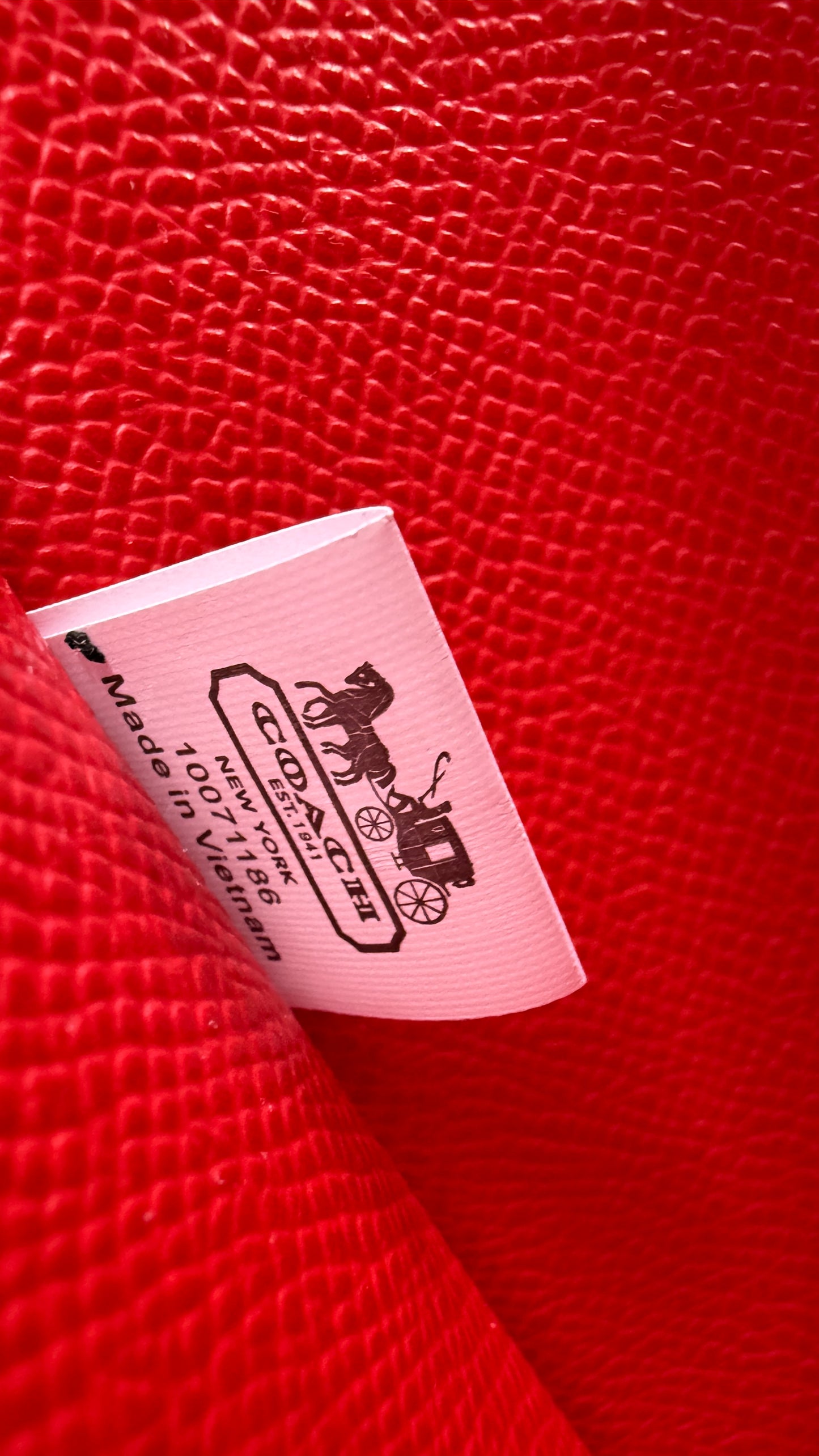 Coach Mollie Tote Large-With Box-Master Series