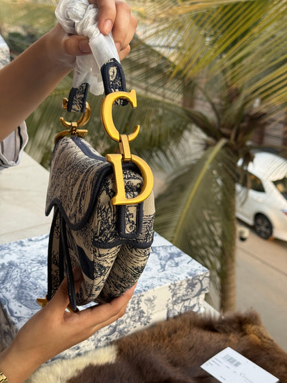 Christian Dior Saddle Bag-Master Plus Series-Box Packaging Include