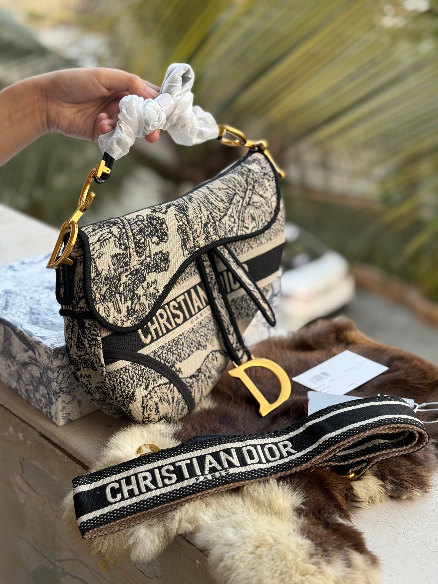 Christian Dior Saddle Bag-Master Plus Series-Box Packaging Include