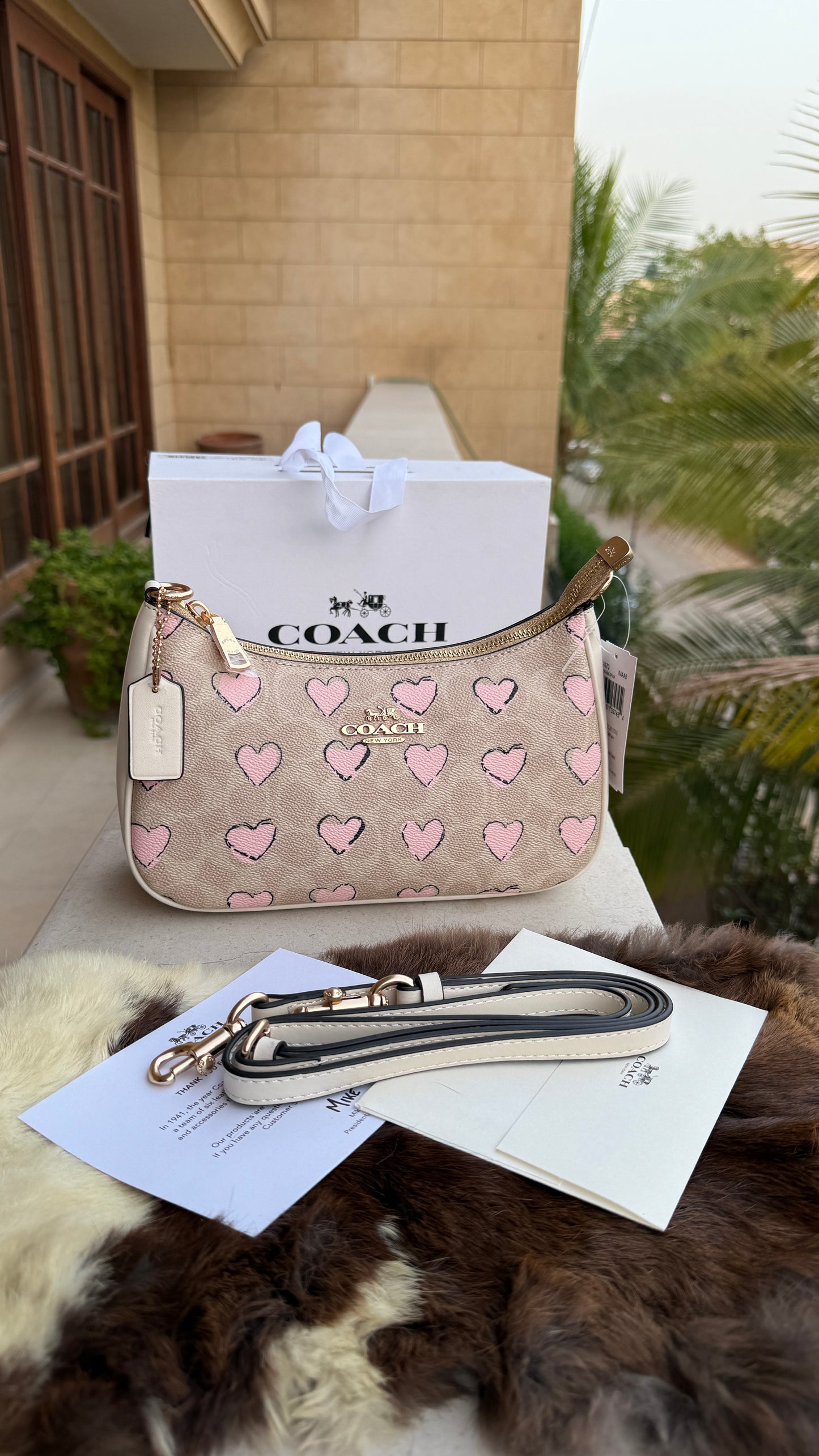 Coach Teri Hobo-Master Plus Series-folding box packaging.