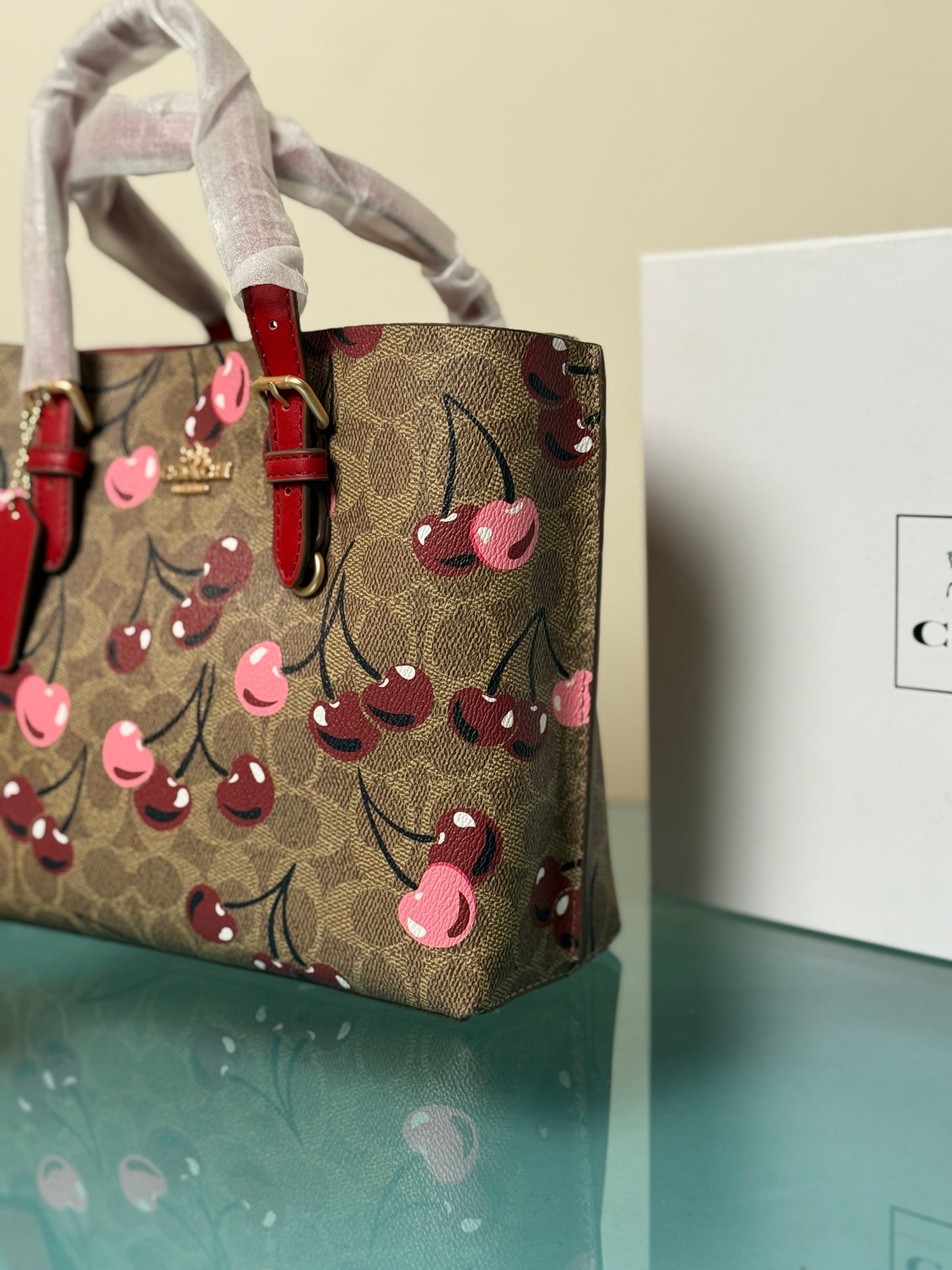 Coach Mollie 25 Tote Bag-Master Series With Box Packaging.