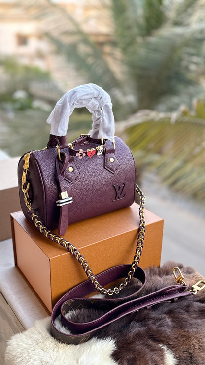 Louis Vuitton Speedy Nano-AAA Series-double Folding box