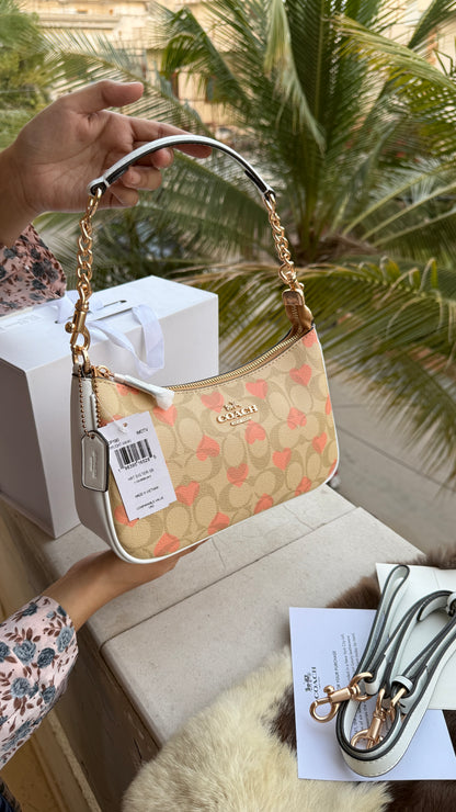 Coach Teri Hobo-Master Plus Series-folding box packaging.