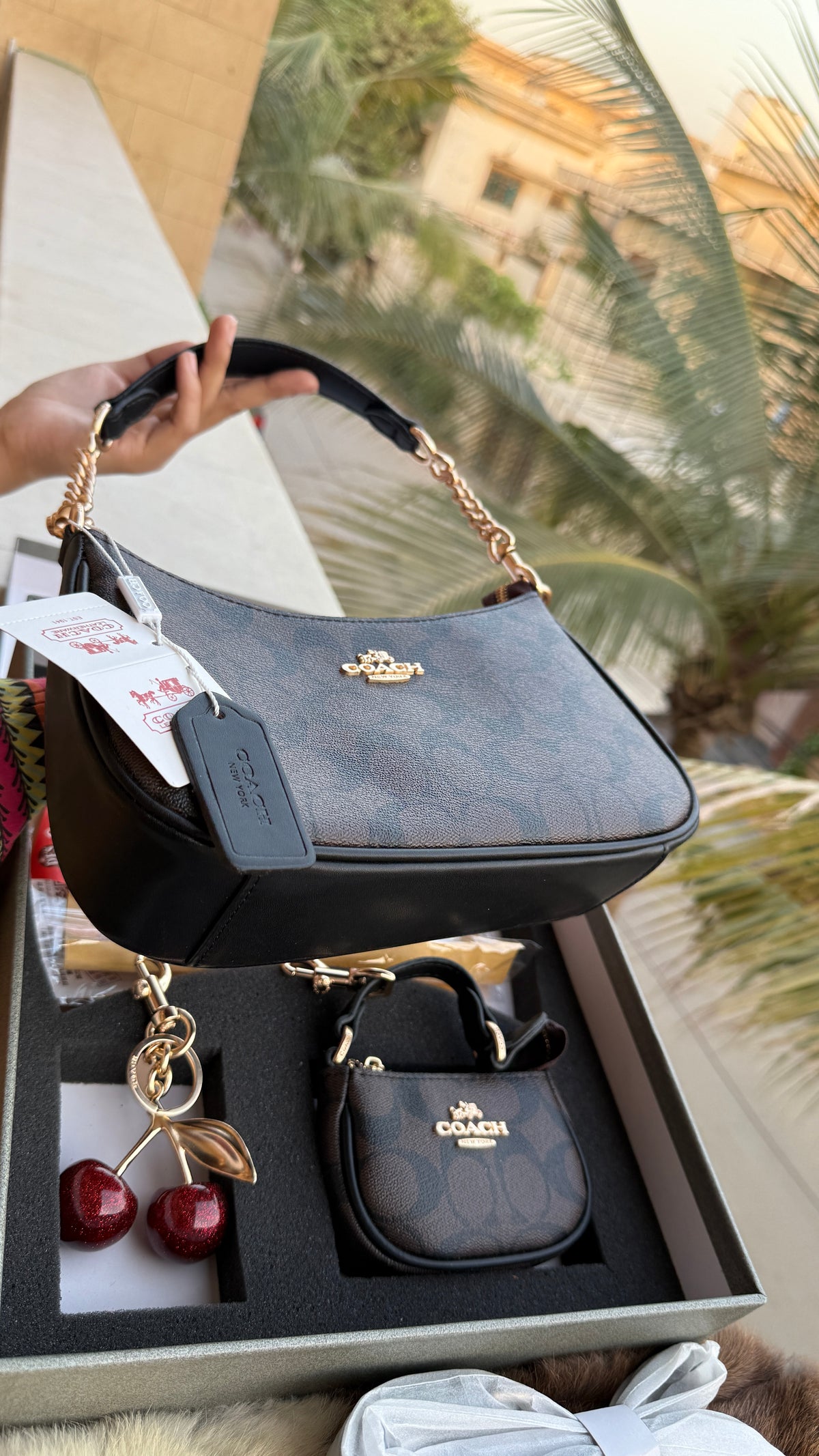 Coach Teri Hobo Complete Set With Box,Micro Bag & Cherry Charm-Master Plus