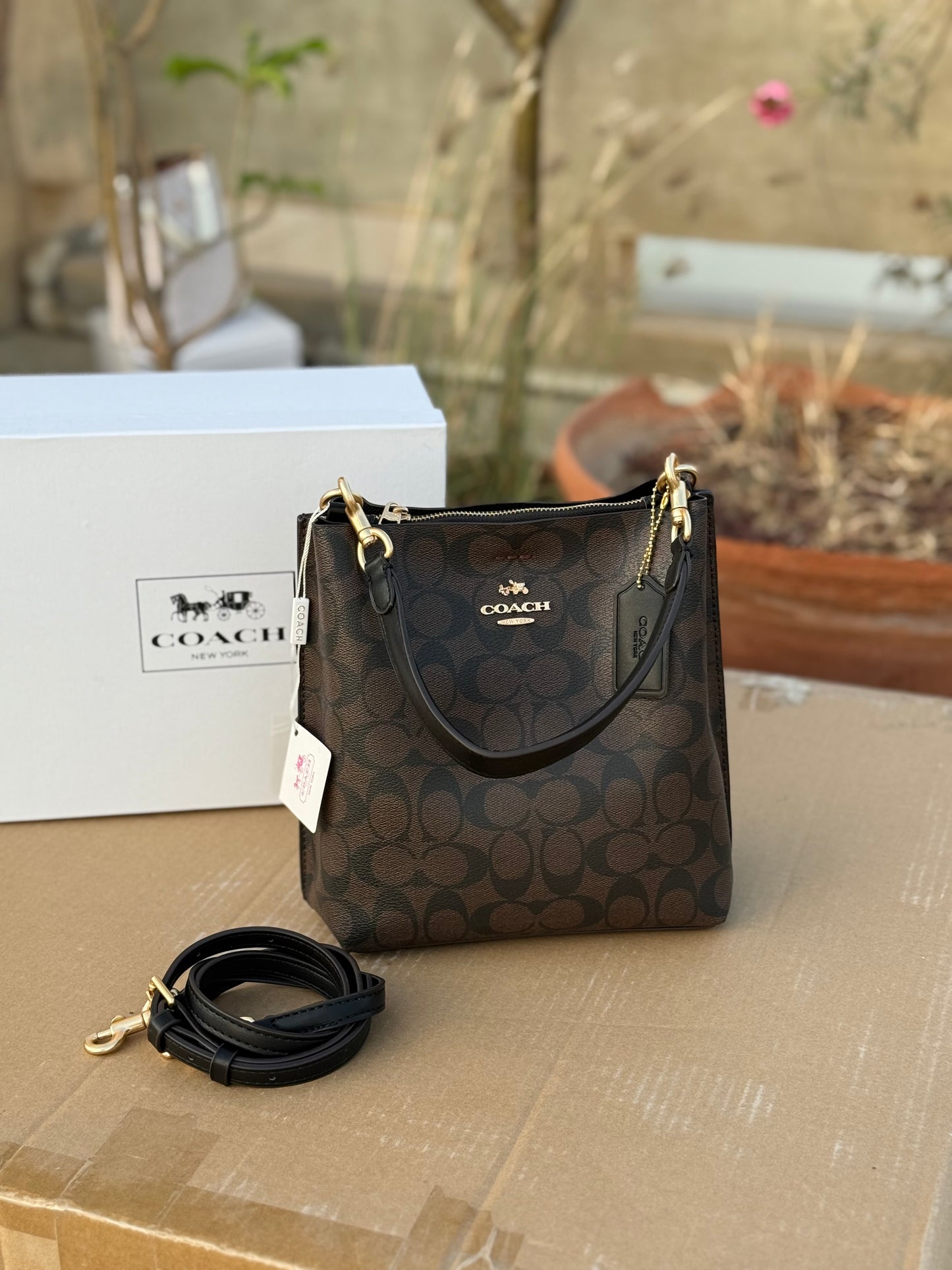 Coach Mollie 22 Bucket Bag Master Plus Series With box