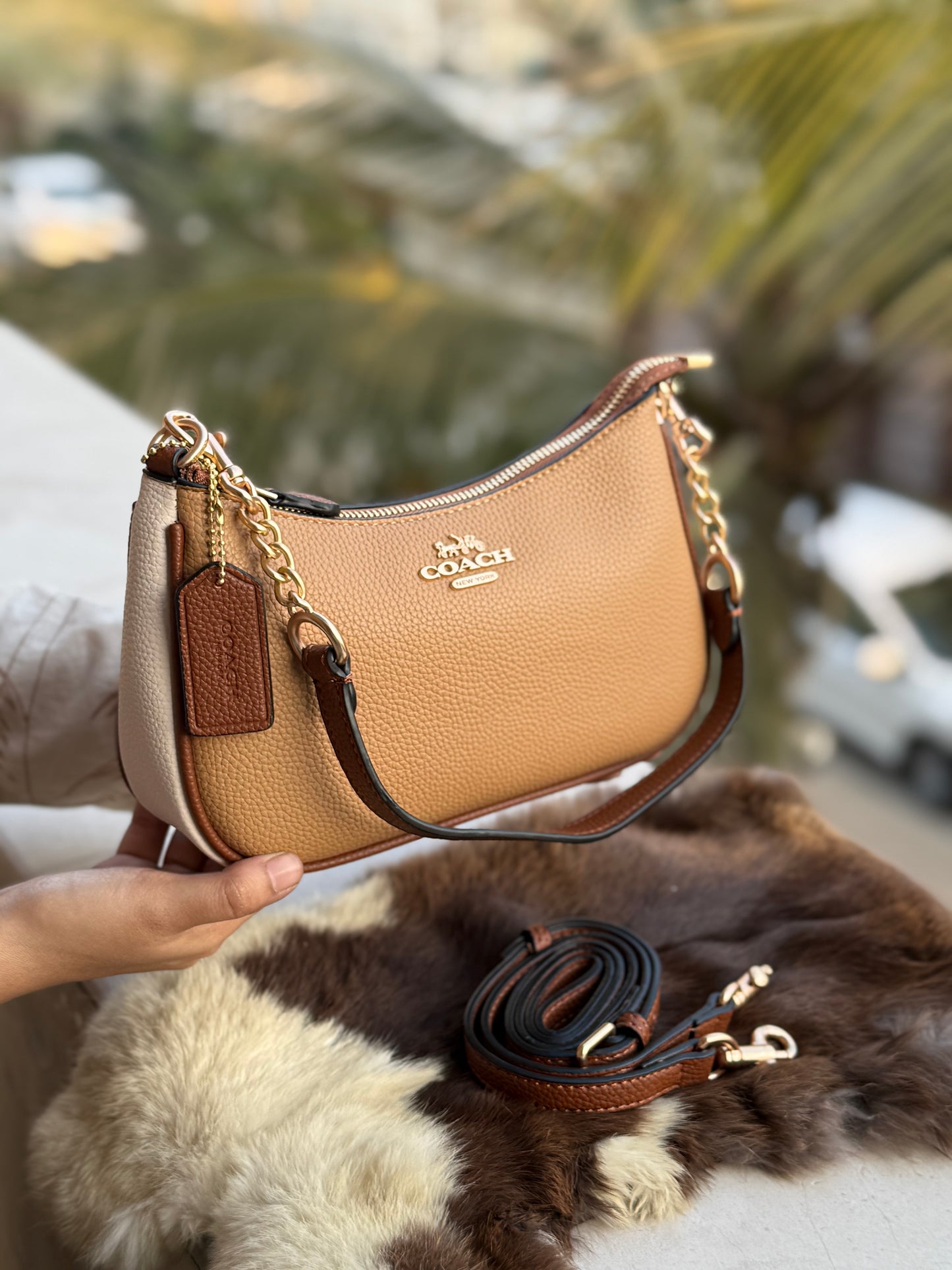 Coach Teri Hobo bag-With box-Master Series