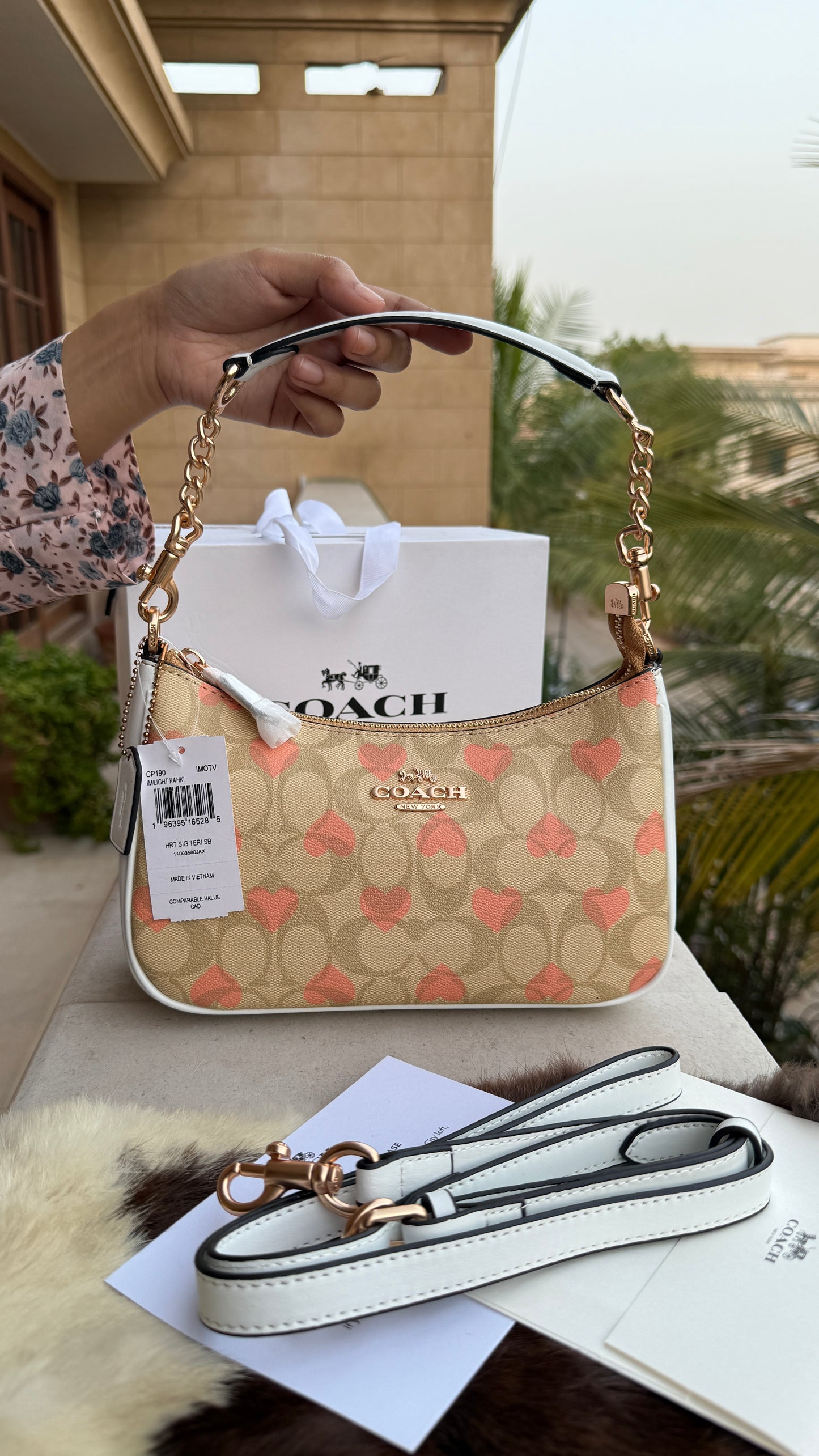 Coach Teri Hobo-Master Plus Series-folding box packaging.