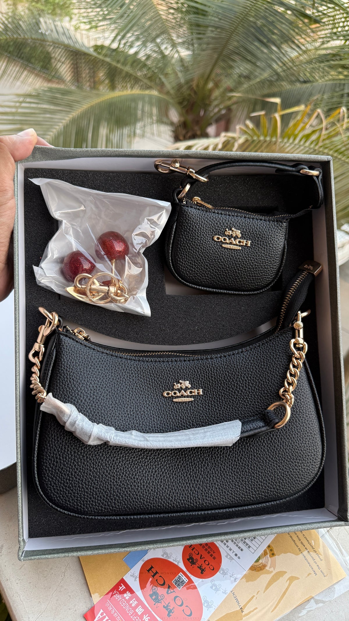 Coach Teri Hobo Complete Set With Box,Micro Bag & Cherry Charm-Master Plus