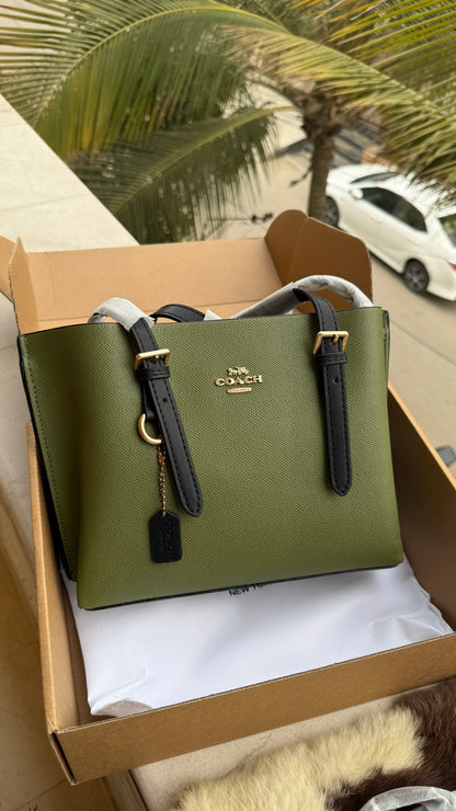 Coach Mollie 25 Tote Bag-Master Basic Series With Folding Box Packaging.