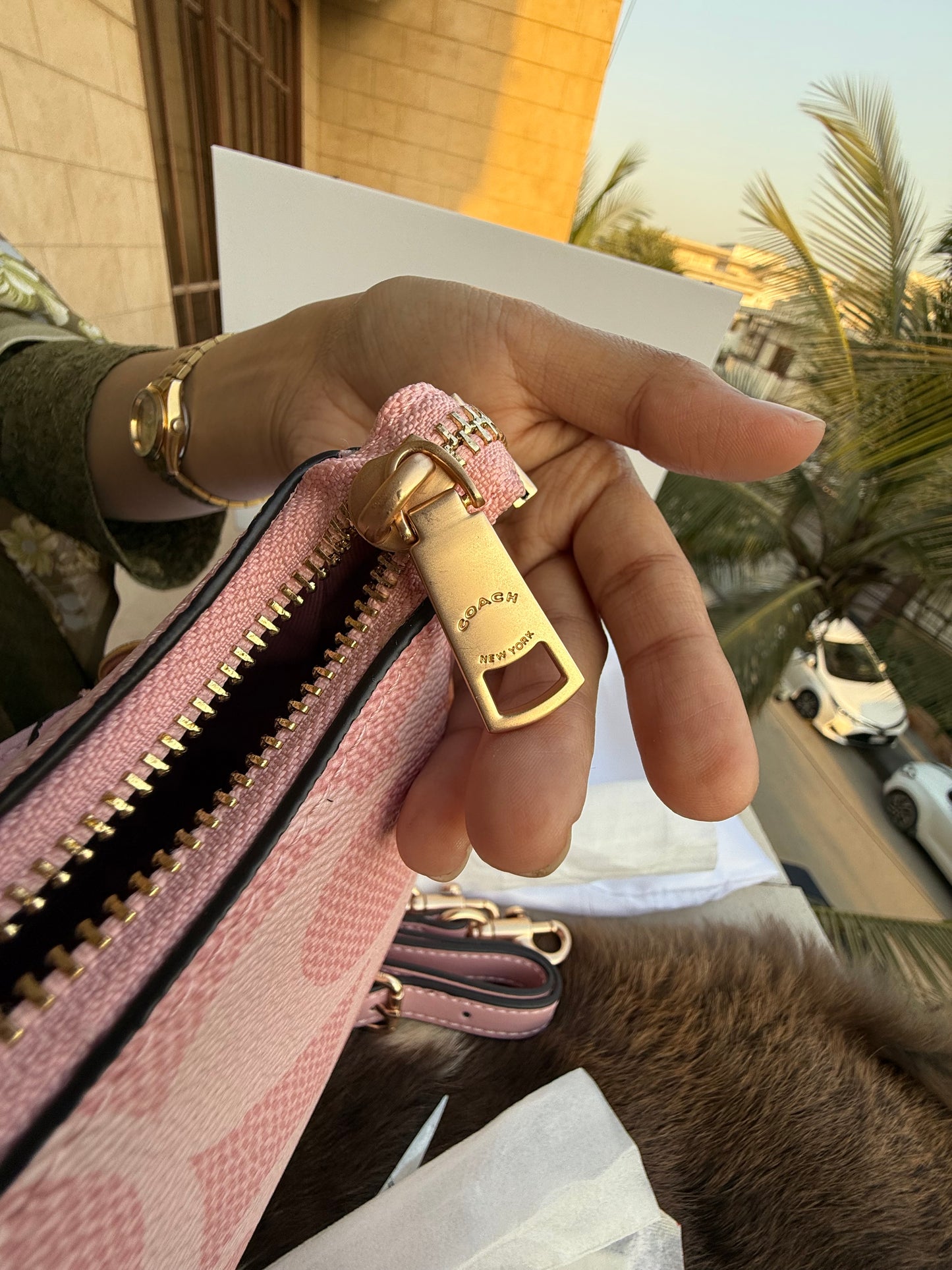 Coach Teri Hobo-Master Plus Series-Double folding box packaging