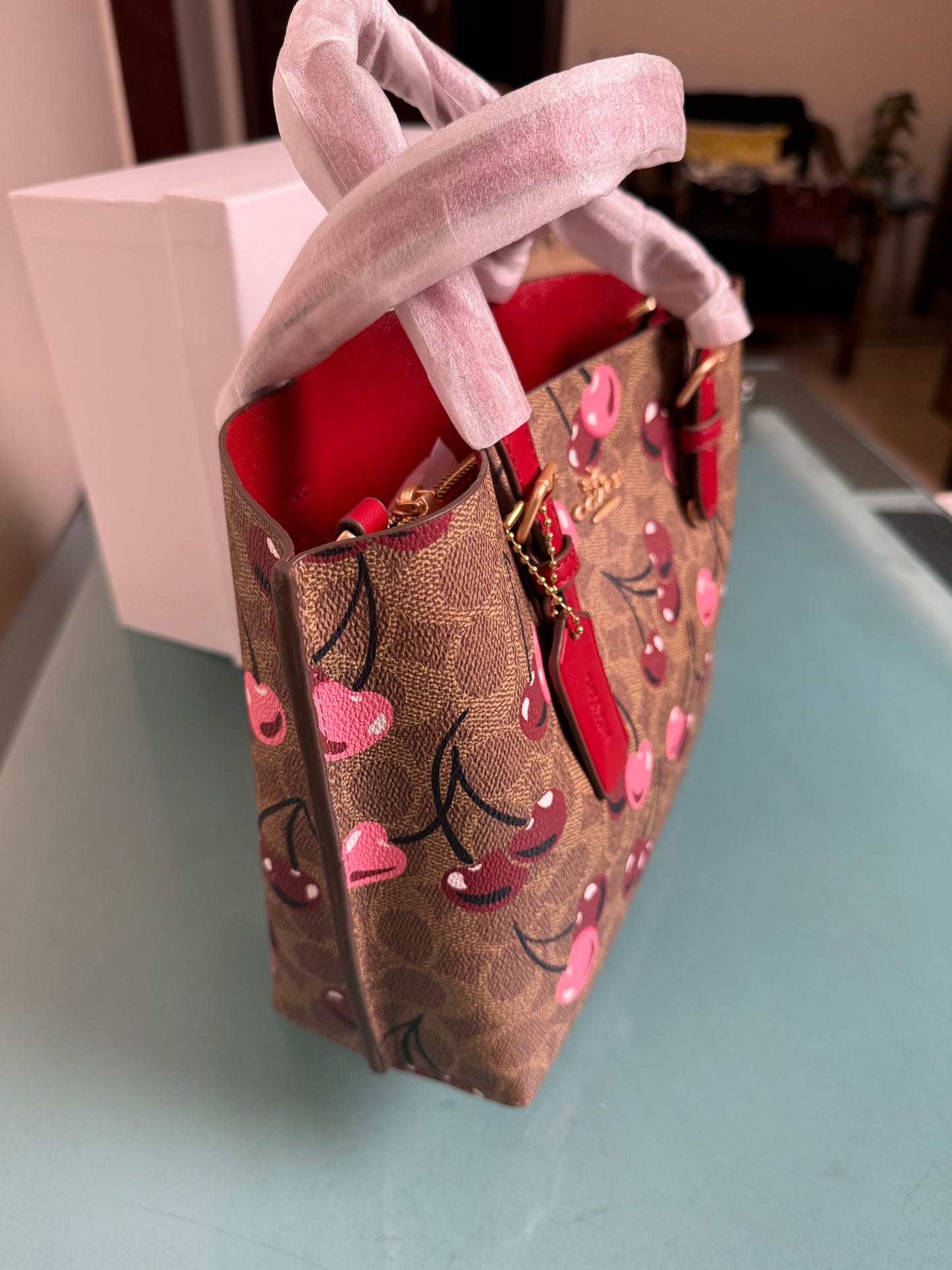 Coach Mollie 25 Tote Bag-Master Series With Box Packaging.