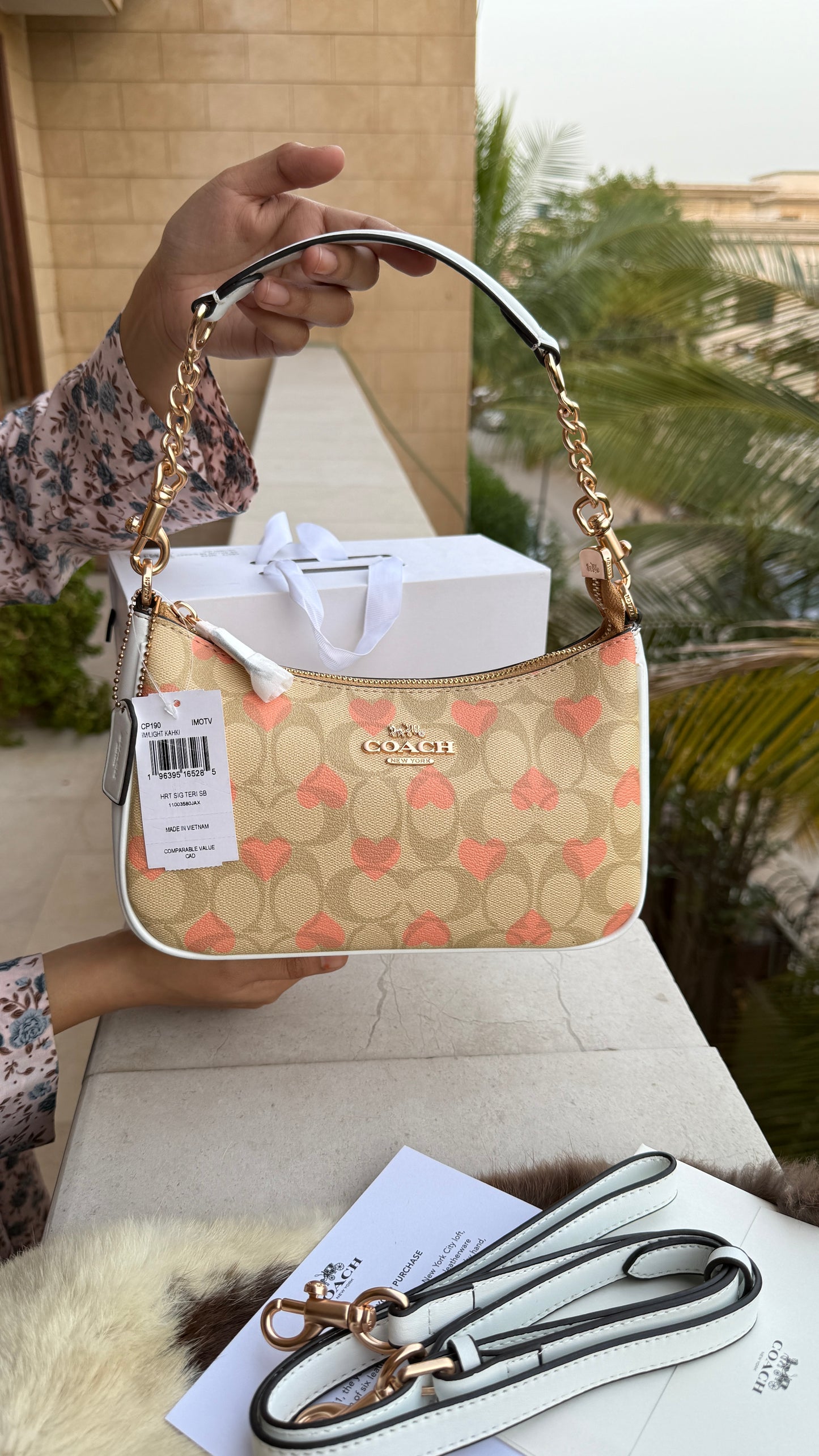Coach Teri Hobo-Master Plus Series-folding box packaging.