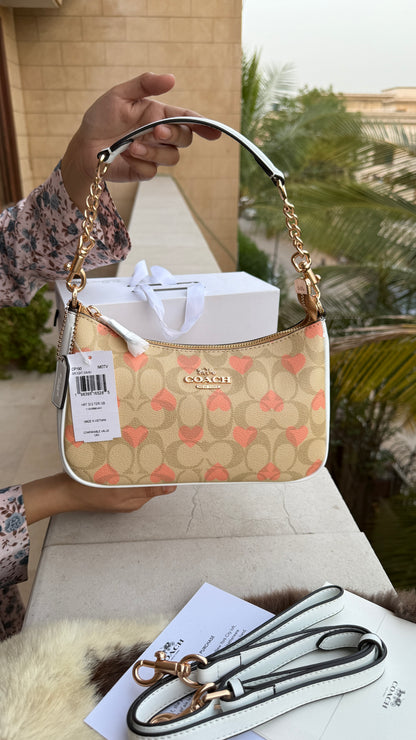 Coach Teri Hobo-Master Plus Series-folding box packaging.