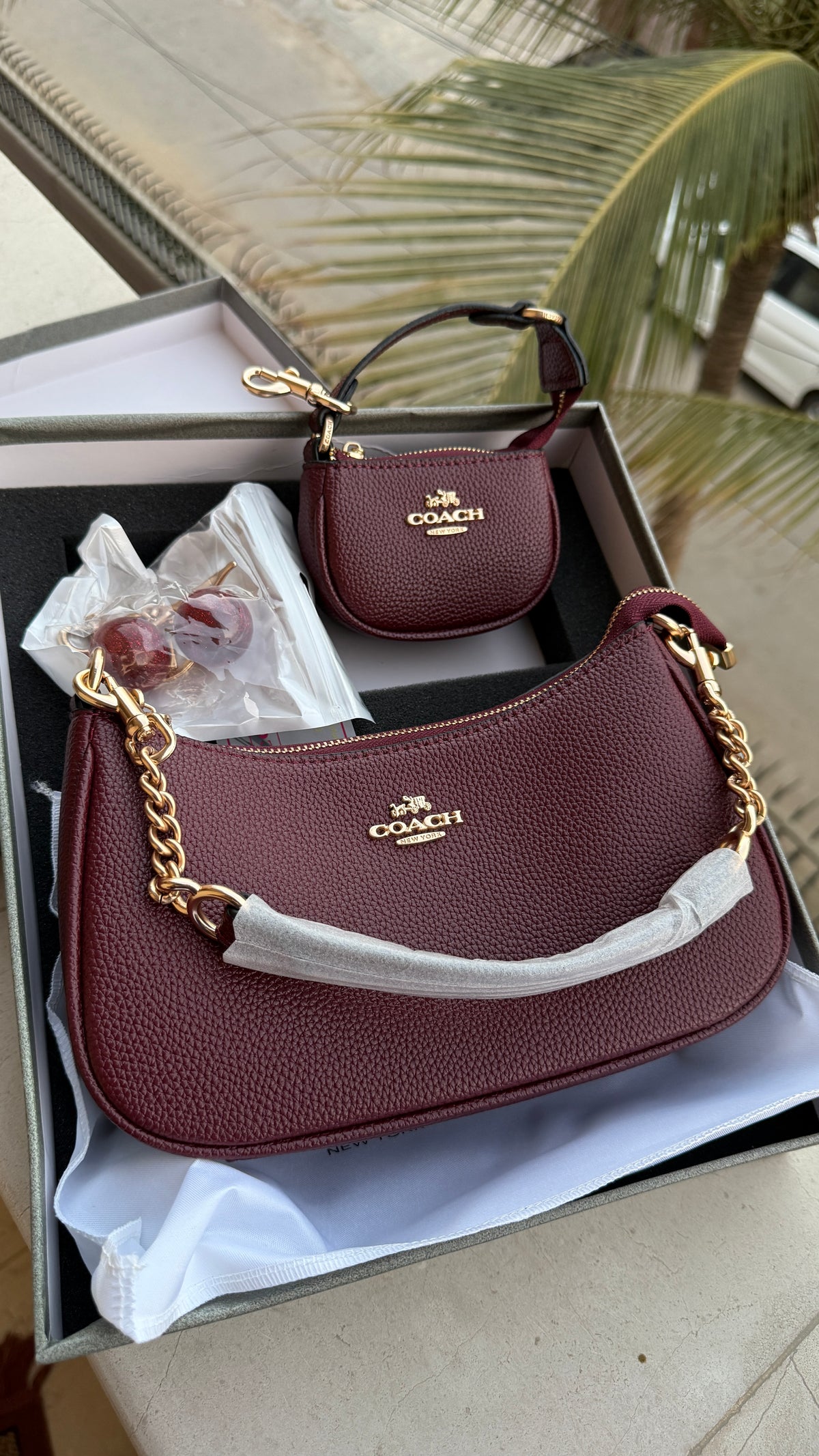 Coach Teri Hobo Complete Set With Box,Micro Bag & Cherry Charm-Master Plus